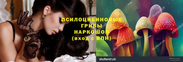 дживик Медвежьегорск