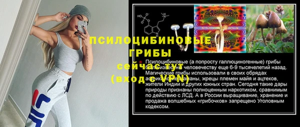 дурь Михайлов