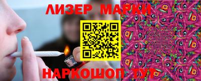 прущие грибы Апшеронск