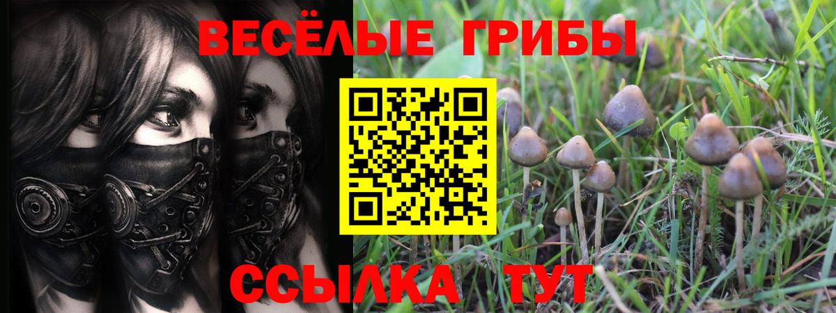 Малоярославец  Псилоцибиновые грибы GOLDEN TEACHER  Псилоцибиновые грибы мицелий  Вход с VPN 