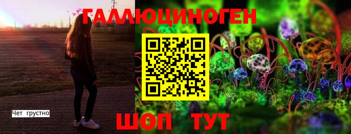 Галлюциногенные грибы прущие грибы Малоярославец